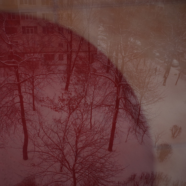 548 :: Snow and red carpet (dbl. exp.) - file not found (media/photos/600/FMW_trees-red-orange-doubleexposure_BC_29122021-0905_RGRII_%40f5.6-4ths-iso400-35mm_R1000382.jpg)