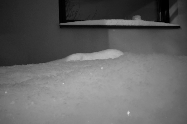 395 :: Snow gliss - file not found (media/photos/600/Littletown_winter-snow-gliss_Sucha_17Jan2021-0938_RicohGRII_28mm_%40f16-640ths-iso400_L_ED_R1010269_bw.jpg)