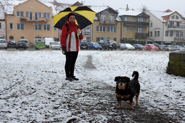 615 :: Dog walk on snowy April