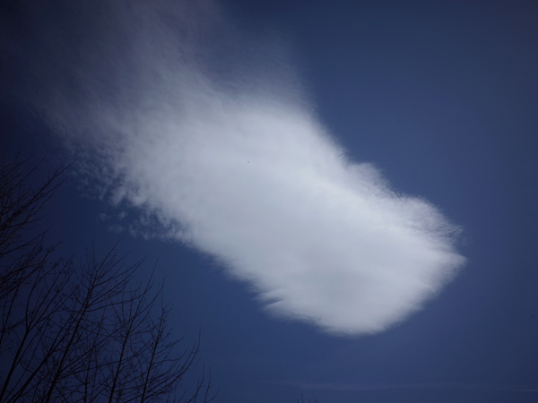 407 :: White cloud in April